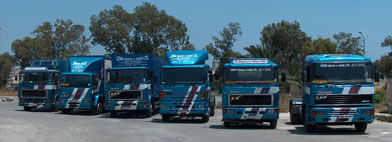 Six Lewis Magri & Sons trucks lined up